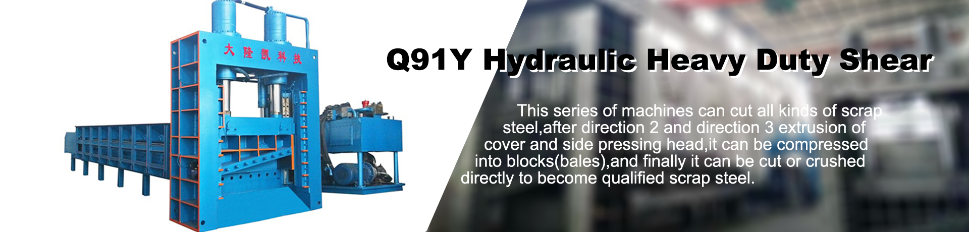 Q91Y shear